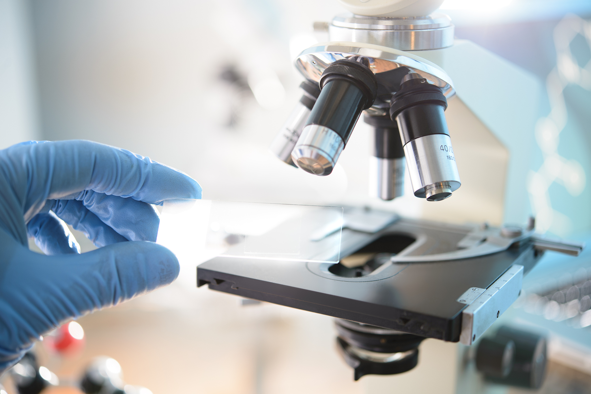 人工翻译的优势是什么?插图 人工翻译的优势是什么?插图