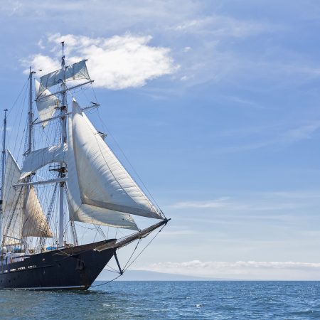 企业出海安全合规如何“避坑”？